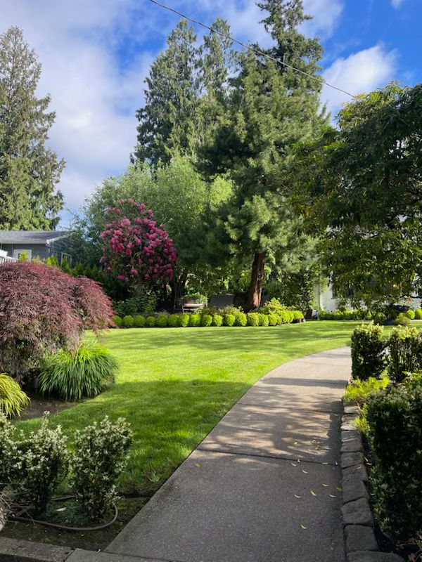 Rubiland-landscape-construction-oregon (4)