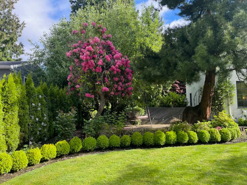 Rubiland-landscape-construction-oregon (8)